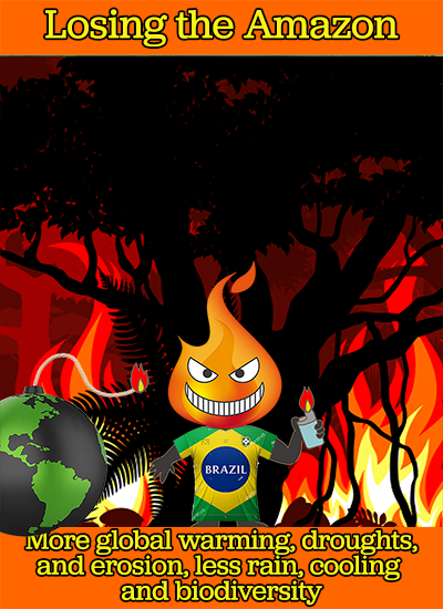 a grinning cartoon brandishing a lighter stands before a burning forest
