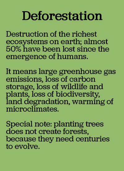 text on environmental impact of deforestation