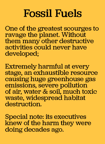 text on environmental impact of fossil fuels