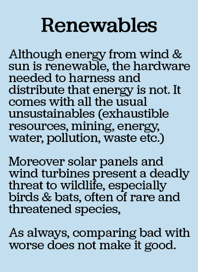 text on environmental impact of renewables