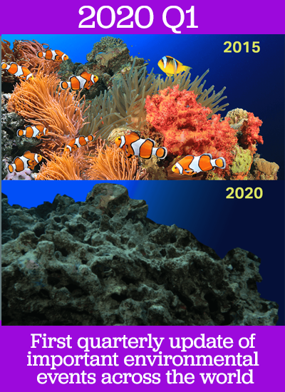 coral reefs before and after