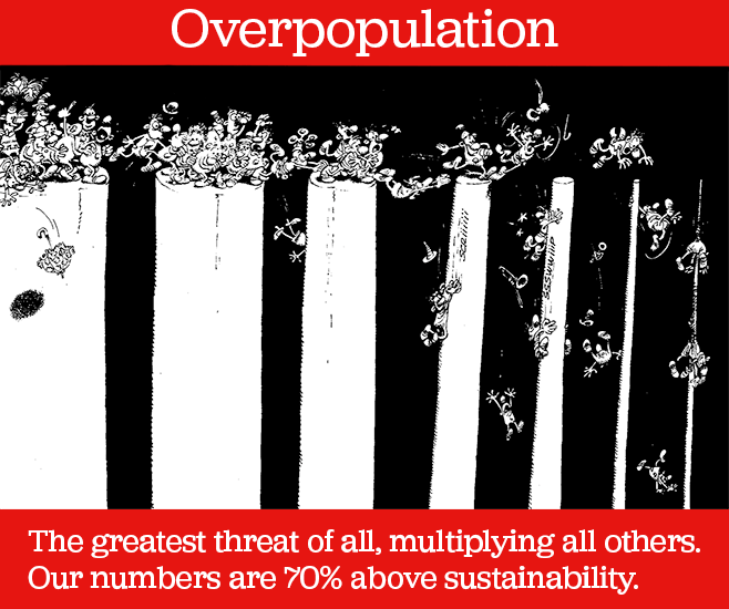 Overpopulation: crowds of people pushing one another on to ever narrower ledges above an abyss
