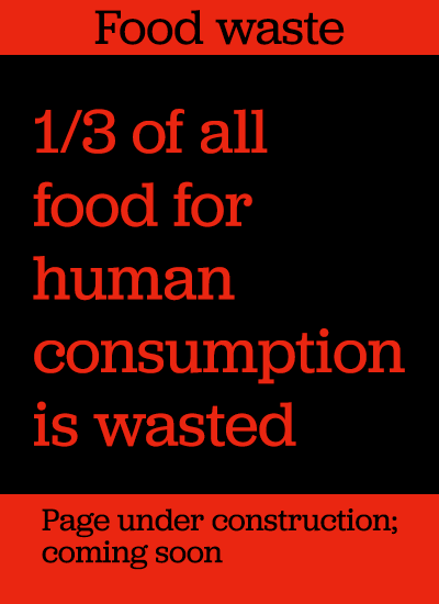 1/3 of human food is wasted in red letters