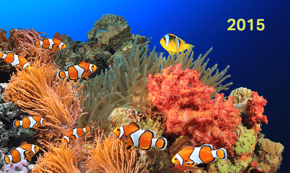 living coral with beautiful fishes