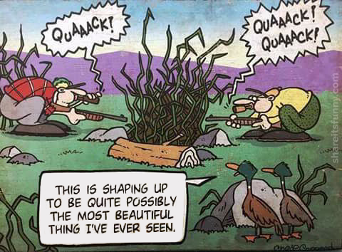 cartoon two ducks watching two hunters about to shoot at each other 