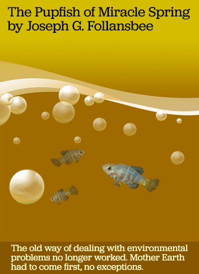 pupfish swimming among bubbles