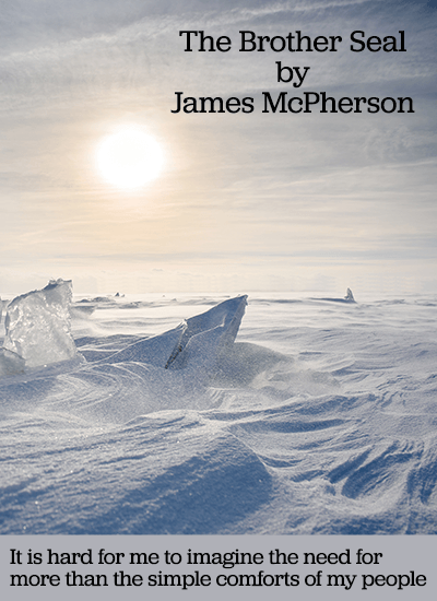 frozen arctic landscape under a hazy sun